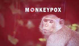 “Monkey pox” රෝගයේ ව්‍යාප්තිය ඉහළ යයි . . .